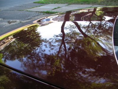 01' Aurora
01' Aurora
Keywords: 01' Aurora