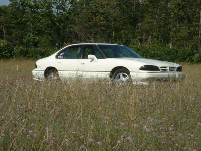 Crouching In The Weeds
My 92 "pre-accident" crouching in the weeds
