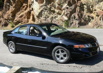 Bonneville Rocks
The uphill side of the mountain.  About 4 feet behind me is a 200-300 ft. drop into the Nooksack River
Keywords: bonneville, mountains, trees, polished, wheels