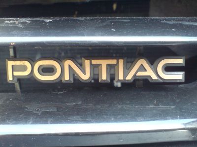 1988 Pontiac Bonneville SSE
Grill
Keywords: 1988 Pontiac Bonneville SSE