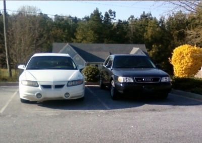 Pollen Droppin
The "BEAST" next to A6
