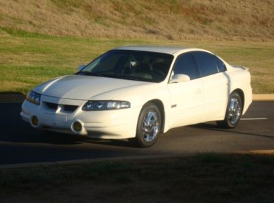 Our 2nd Yr
Sunbathing
