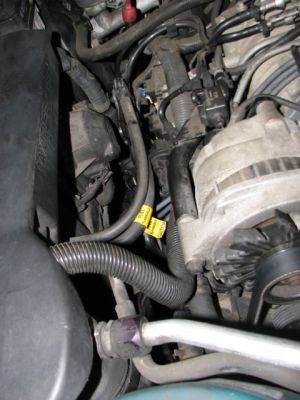 Fuel Line 2
This one shows the original fuel line intact.
Keywords: Bonneville, Fuel Line, 1997 SSEi