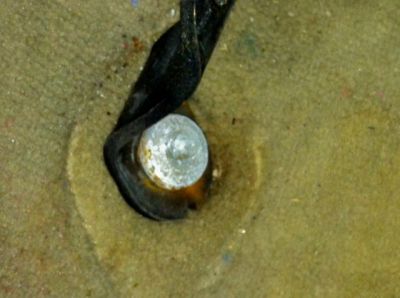 Seat Belt Connector Bolt
In order to remove the seatbelt (hence the seat itself) I believe you must also remove this bolt. I don't have a tool and am posting this to get help from someone who knows the spec tool to remove this (or perhaps that it doesn't need to be removed to get the front seats out of the way.
Keywords: seat belt bolts