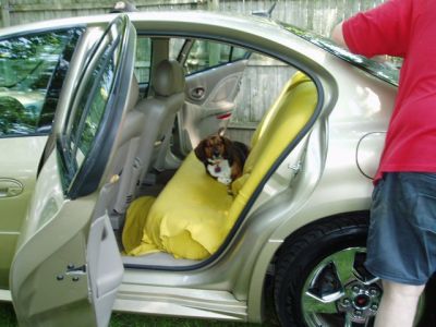 Staking His Claim
Our beagle, Hunter, trying out "his" new car.  He likes to travel in style and approves the SLE :))
