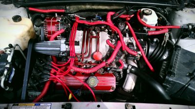 Final photo after top end rebuld
New head & S/C gaskets, plugs & wires, S/C & serpentine belts, new radiator & topped off with synthetic oil change, changed supercharger oil & flushed the coolant system :)
Keywords: 2000 Pontiac Bonneville SSEI Supercharged L67 3.8L Red Head Gaskets Rebuild New Plugs Wires Radiator Coolant Flush