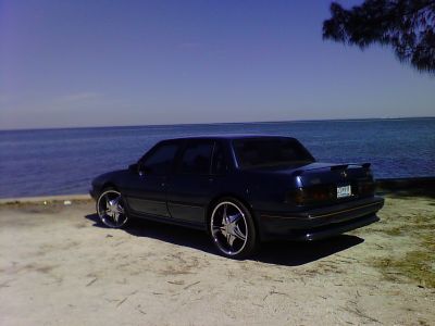 IMG_20110112_090949.jpg